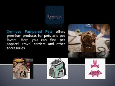 Animal Pet Shop Online