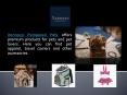 Animal Pet Shop Online PowerPoint PPT Presentation