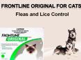 Buy Frontline Original for Cats - Fleas and Lice Treatment