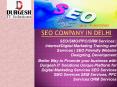 SEO Company in Delhi