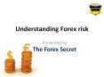 Understanding Forex Risk PowerPoint PPT Presentation
