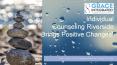 Individual Counseling Riverside Brings Positive Changes! PowerPoint PPT Presentation