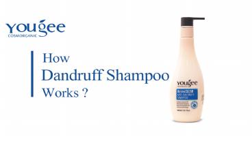 HOW DANDRUFF SHAMPOO WORKS