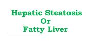 Fatty Liver | Hepatic Steatosis