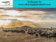 Leading Safari Companies in Kenya