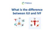 What is the difference between IUI and IVF?