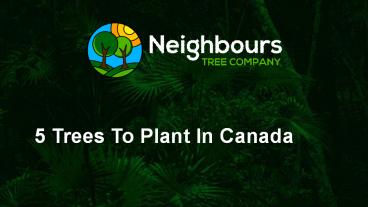 5 trees to plant in canada