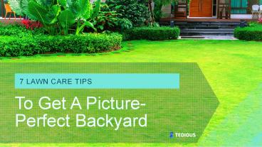 7 Lawn Care Tips To Get A Picture-Perfect Backyard!