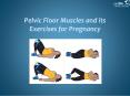 Pelvic Floor Muscles and its Exercises for Pregnancy PowerPoint PPT Presentation