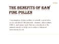 A Concise Guide to Understand the Benefits of Raw Pine Pollen PowerPoint PPT Presentation