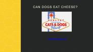 Can dogs eat Cheese