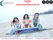 Pure Sine Wave Inverter USA