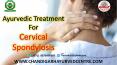 Ayurvedic Treatment For Cervical Spondylosis