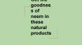 Get the goodness of neem in these natural products PowerPoint PPT Presentation
