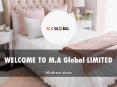 M.A Global Limited Presentation