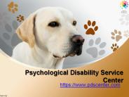 Emotional Support Dog