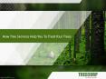 How Tree Services Help You To Treat Your Trees PowerPoint PPT Presentation