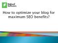 How to optimize your blog for maximum SEO benefits? PowerPoint PPT Presentation