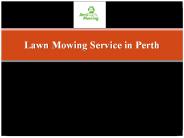 Professional Lawn Mowing Service in Perth