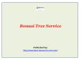 Bonsai Tree Service PowerPoint PPT Presentation