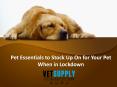 Pet Essentials to Stock Up On for Your Pet When in Lockdown PowerPoint PPT Presentation