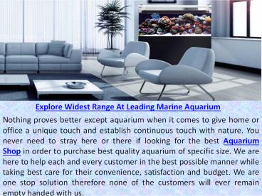 Explore Widest Range At Leading Marine Aquarium