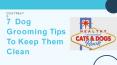 7 Dog Grooming Tips To Keep Them Clean PowerPoint PPT Presentation
