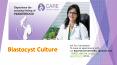 Blastocyst Culture PowerPoint PPT Presentation