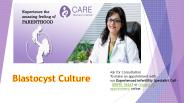 Blastocyst Culture