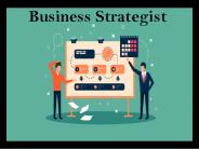 Online Business Strategist