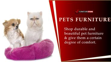 Most Comfortable Pets Beds USA