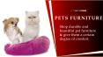Most Comfortable Pets Beds USA PowerPoint PPT Presentation