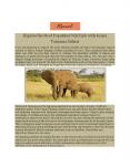 Explore the Most Populated Wild Life with Kenya Tanzania Safaris PowerPoint PPT Presentation