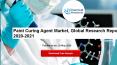 Paint Curing Agent Market, Global Research Reports 2020-2021 PowerPoint PPT Presentation