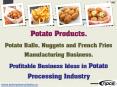 Things required to set up a Potato Processing Business Plan PowerPoint PPT Presentation