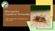 Mosquito Control Orlando