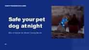 Various quality Dog safety collar in Missouri