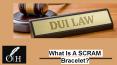 What Is A SCRAM Bracelet? PowerPoint PPT Presentation