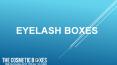 Eyelash Boxes (1) PowerPoint PPT Presentation