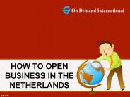 Open a Company in the Netherlands