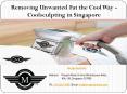 Removing Unwanted Fat the Cool Way - CoolSculpting in Singapore. PowerPoint PPT Presentation