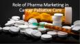 The role of Pharmacist in palliative care of the human PowerPoint PPT Presentation