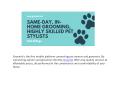 Dog Grooming, Cat Grooming PowerPoint PPT Presentation