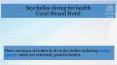 Seychelles diving for health  - Coral Strand Hotel PowerPoint PPT Presentation