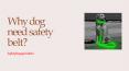 Is it beneficiary for Dog safety collar in Missouri PowerPoint PPT Presentation