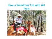 Have a Wondrous Trip with WA Tours