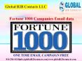 Fortune 1000 Companies Email data PowerPoint PPT Presentation