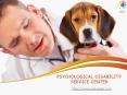 Emotional Support Dog PowerPoint PPT Presentation