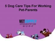 5 Dog Care Tips For Working Pet-Parents
