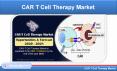 CAR T Cell Therapy Market Global Forecast by Regions & Targeted Antigens PowerPoint PPT Presentation